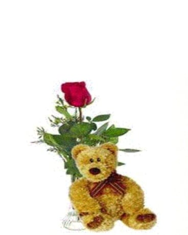 florist bear