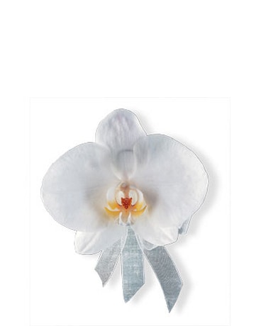 White Phalaenopsis Corsage