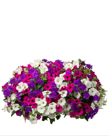 Flowering Annual Hanging Basket