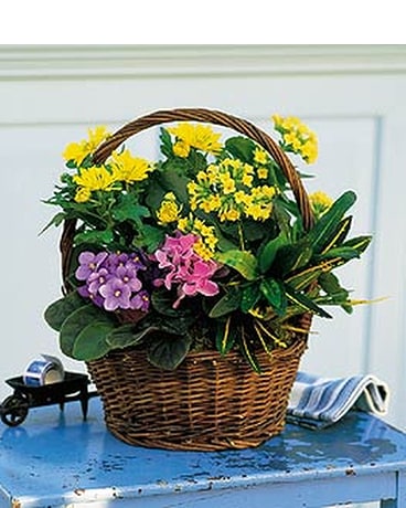 European Basket Flower Arrangement