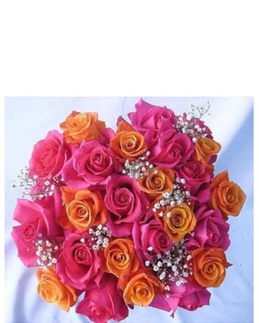 24 Pink and Orange Roses