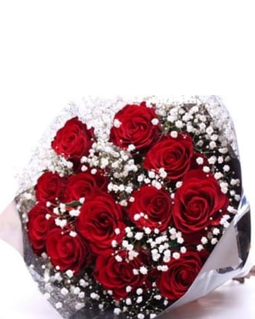 Red Roses Wrapped