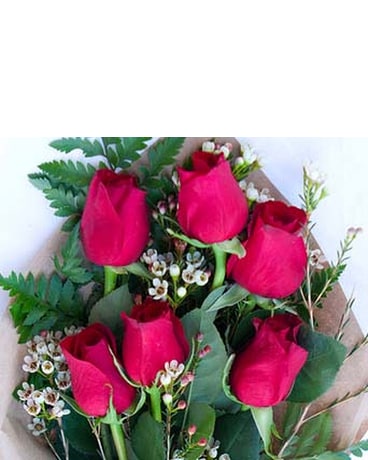 Six Roses or Three Roses Wrapped