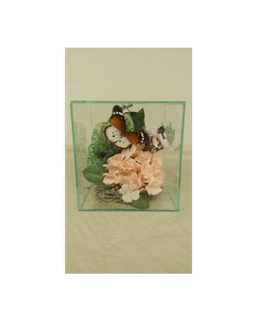 Butterfly Gardens
