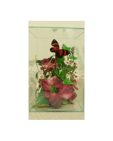 Butterfly Gardens (M)