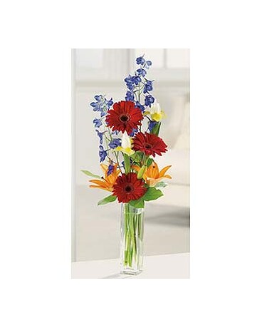 Gerbera Greetings