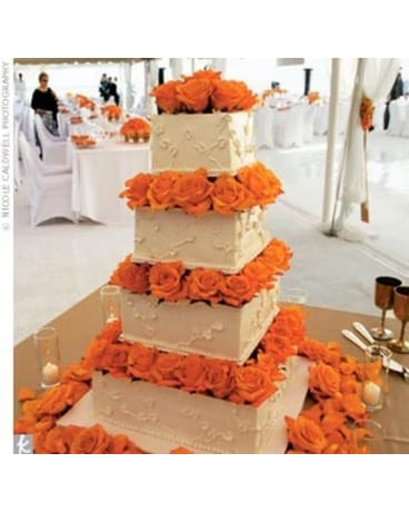 Orange roses