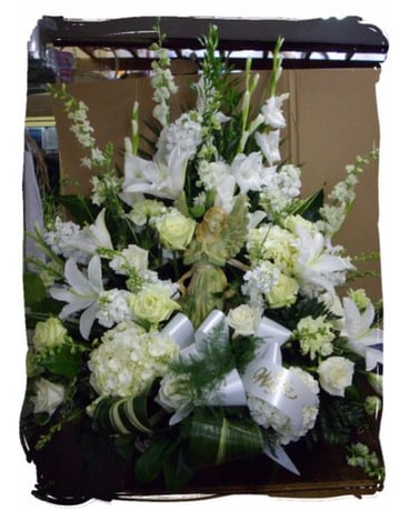 Angel Arrangement
