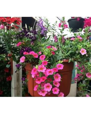 Mixed Sun or Shade Hanging Basket