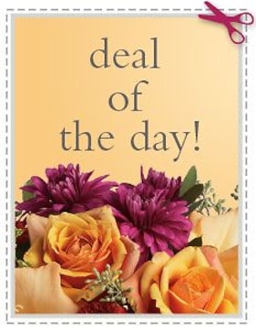 Deal Of The Day - We'll do all of the work. You'll take all of the credit
