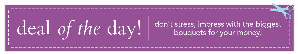 Deal of the Day banner