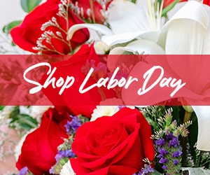 Beautiful Seasonal Flowers Banner