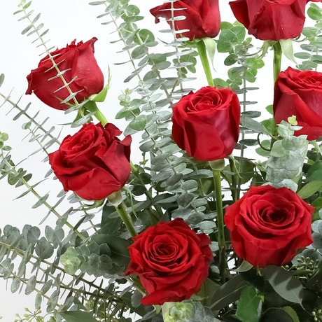 Red Roses with Eucalyptus Foliage (8)