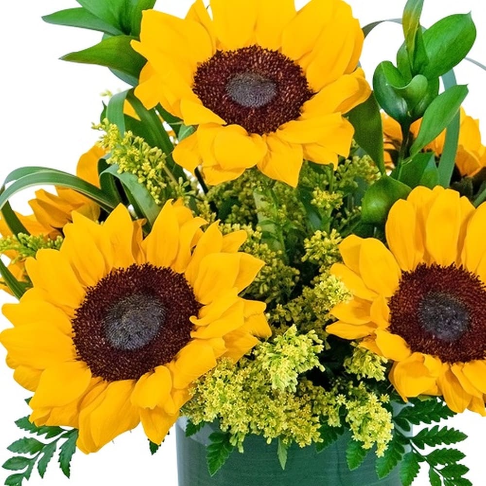 Maxcera Colorful Poppy Garden orders and 2 Sunflower Bunch 9