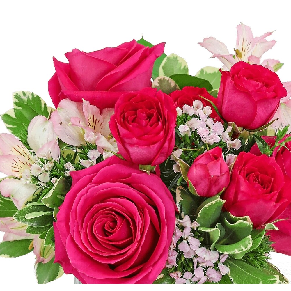 Small Package / 紫陽花＜CD＞　08250521H01T Cosmo Cutie in Mayfield Heights OH - Mayfield Floral