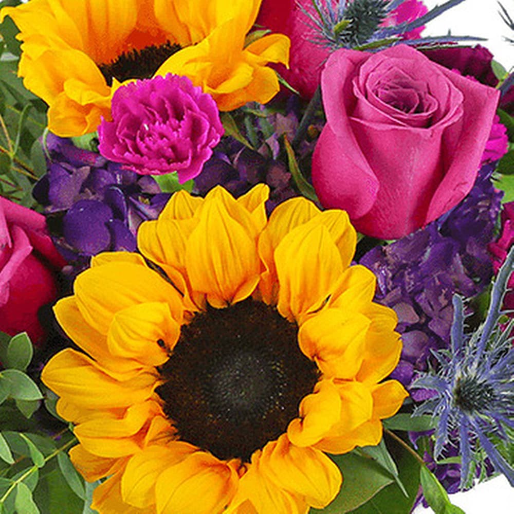 Sunny Rose Garden in Freehold NJ - Especially For You Florist