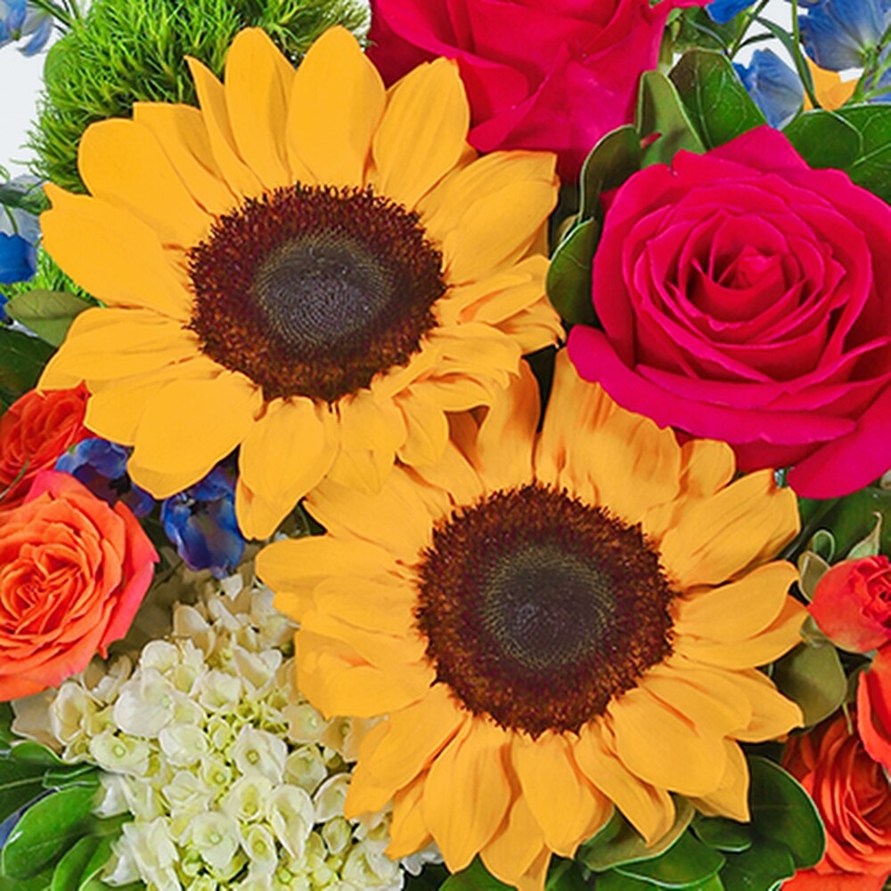 Havana Paradise Razzle Dazzle® Flowers Mesa AZ in Mesa AZ - Razzle