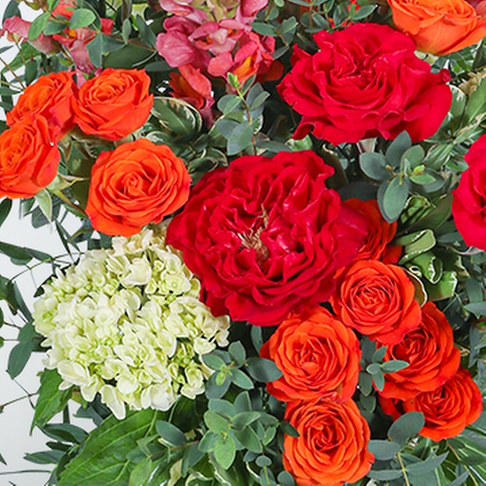 Capri Coast Razzle Dazzle® Flowers Mesa AZ 85207 | Flower Delivery