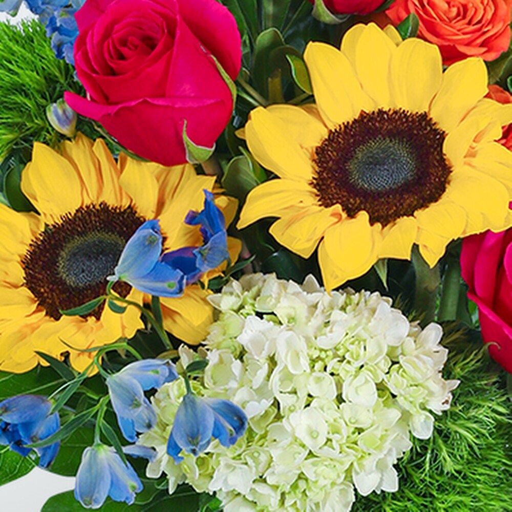 Havana Rose Garden in Abington MA - Hutcheon's Florist