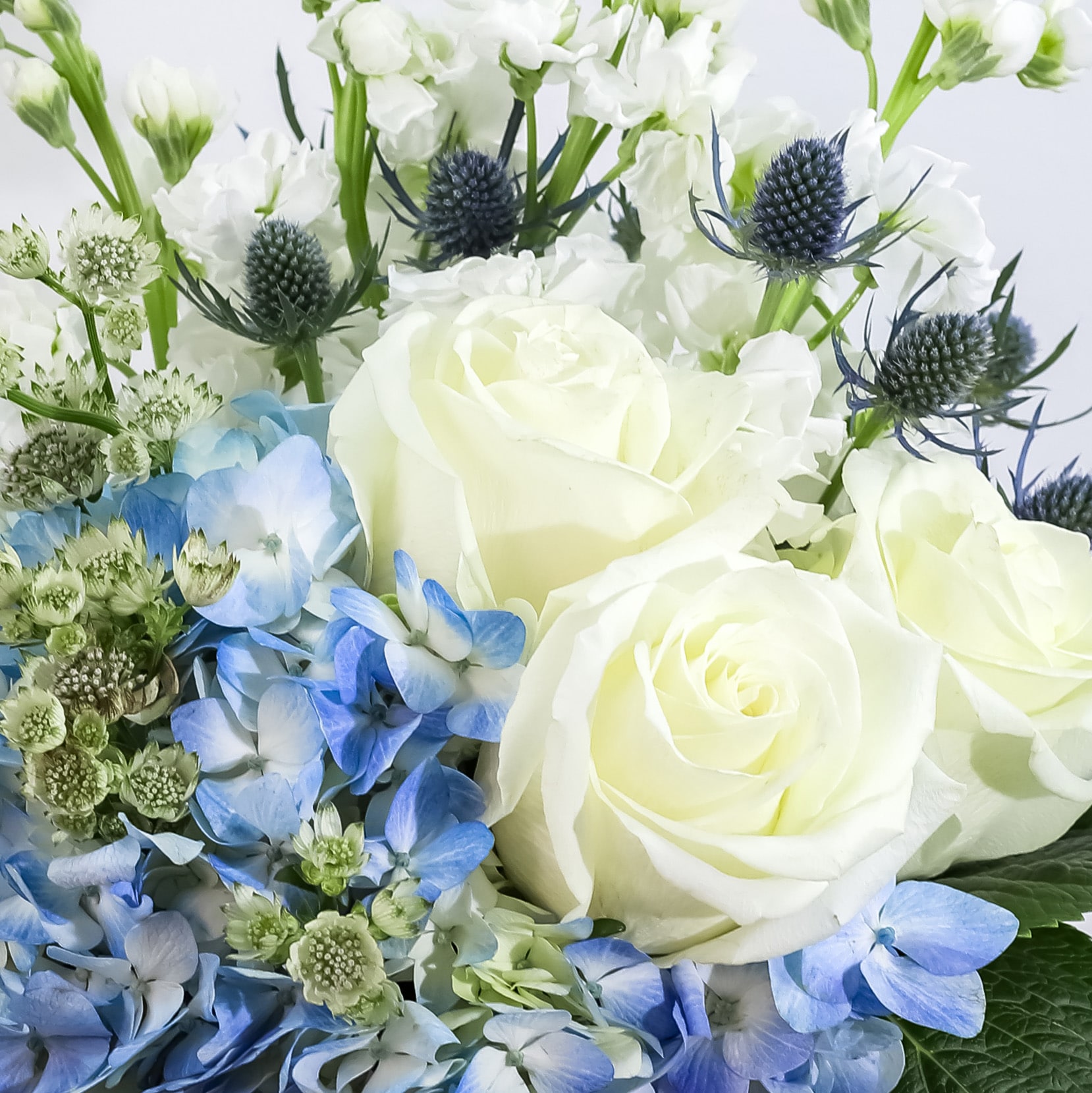 Bliss Garden in Abington MA - Hutcheon's Florist & Flower Delivery