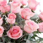 Pink Roses (18) in Tyler TX - Flowers by LouAnn