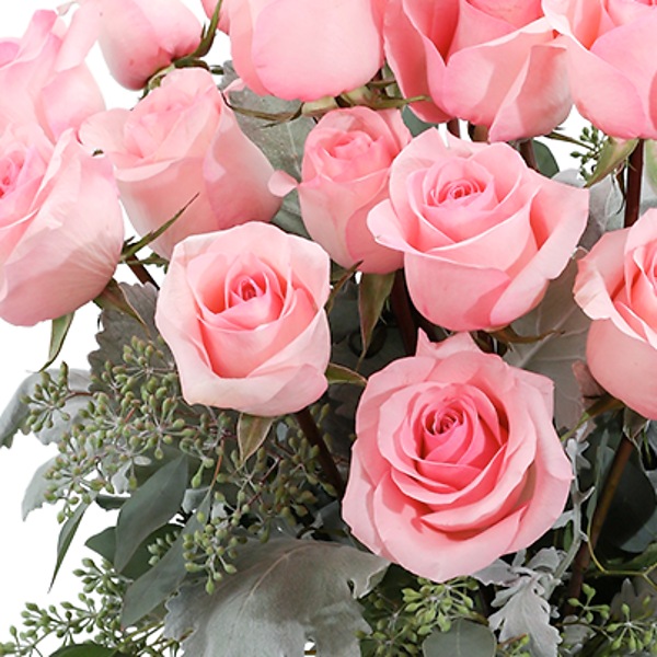 Pink Roses (24) in Florence AL - Kaleidoscope Florist & Designs