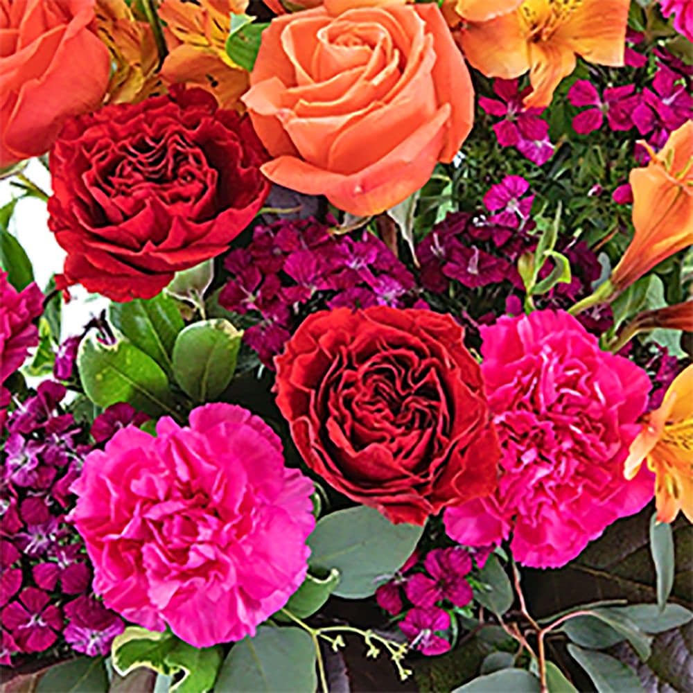 Discover Paradise in Dayton OH - Furst The Florist & Greenhouses