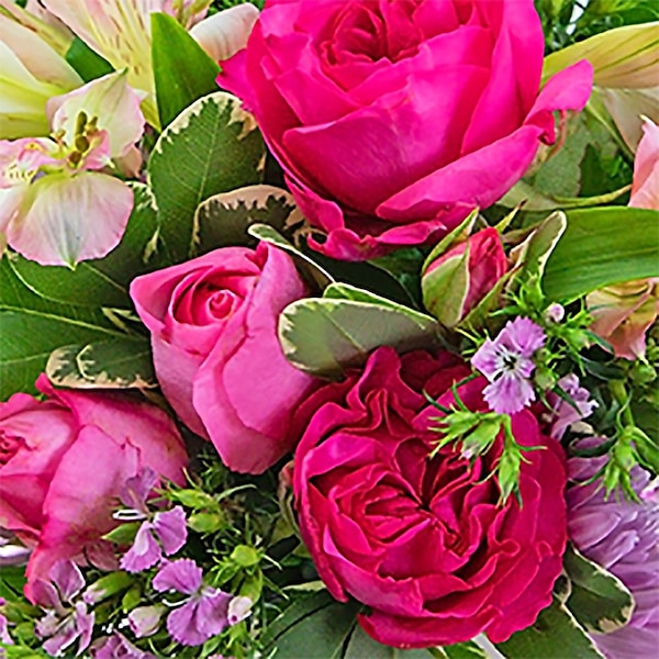 English Rose in Dayton OH - Furst The Florist & Greenhouses