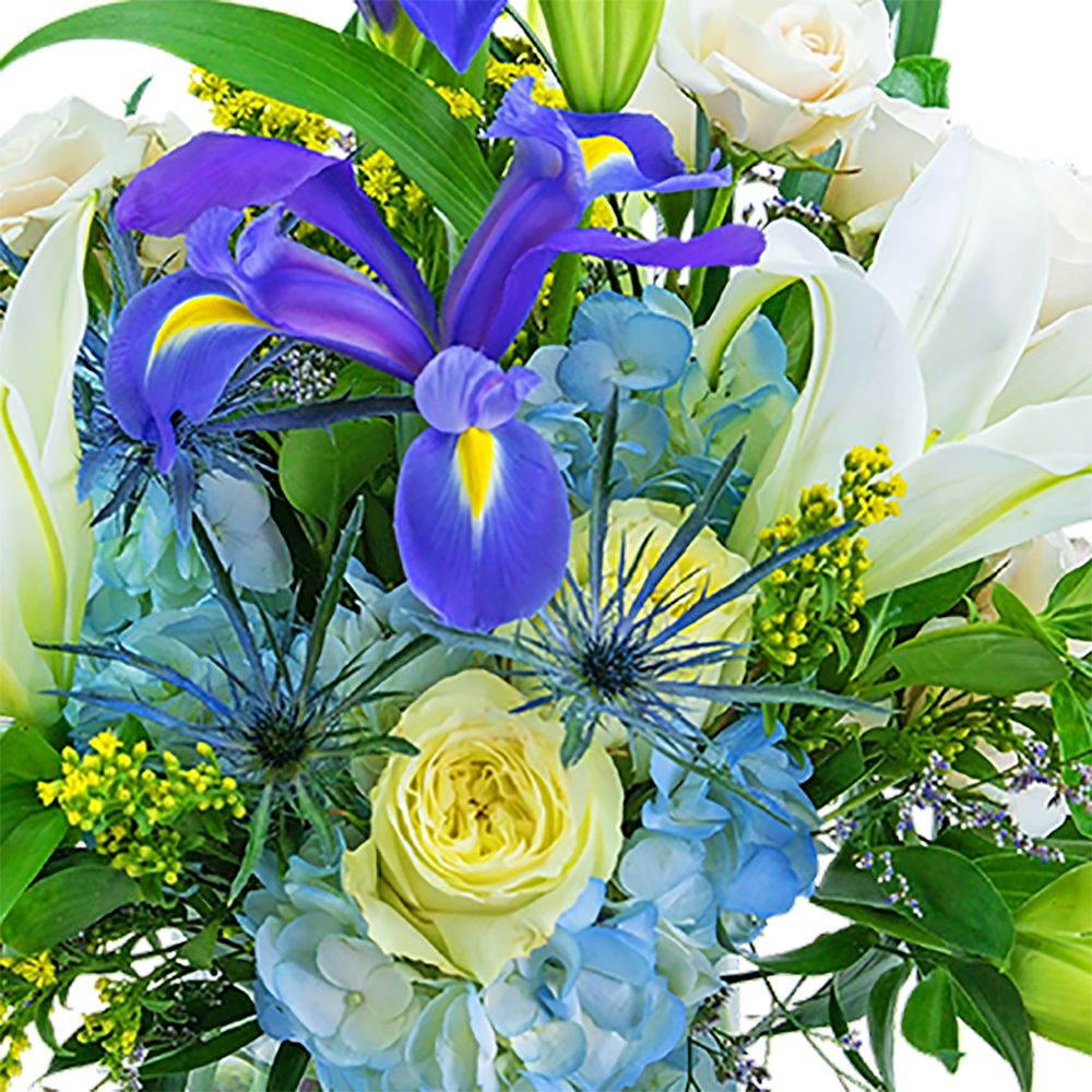 Untamed Beauty by Razzle Dazzle® Flowers Mesa, AZ in Mesa AZ