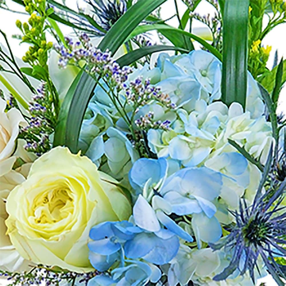 mpblures wild boar SR③ 🐗 Wild boar Animal Head Wild boar Animal Medallion for CNC Router