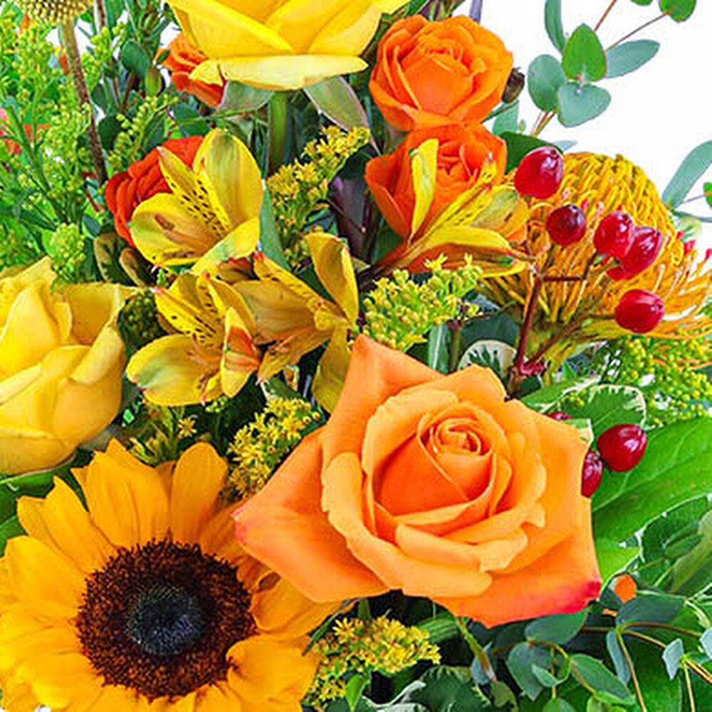 Morning Thyme Razzle Dazzle® Flowers Mesa AZ | Flower Delivery in