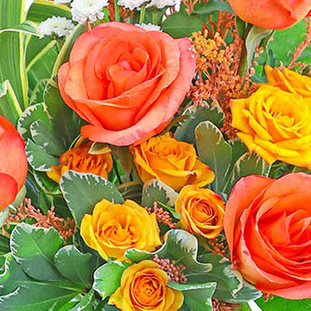 Kiss Me in Key West in South Hadley MA - Carey's Flowers, Inc.