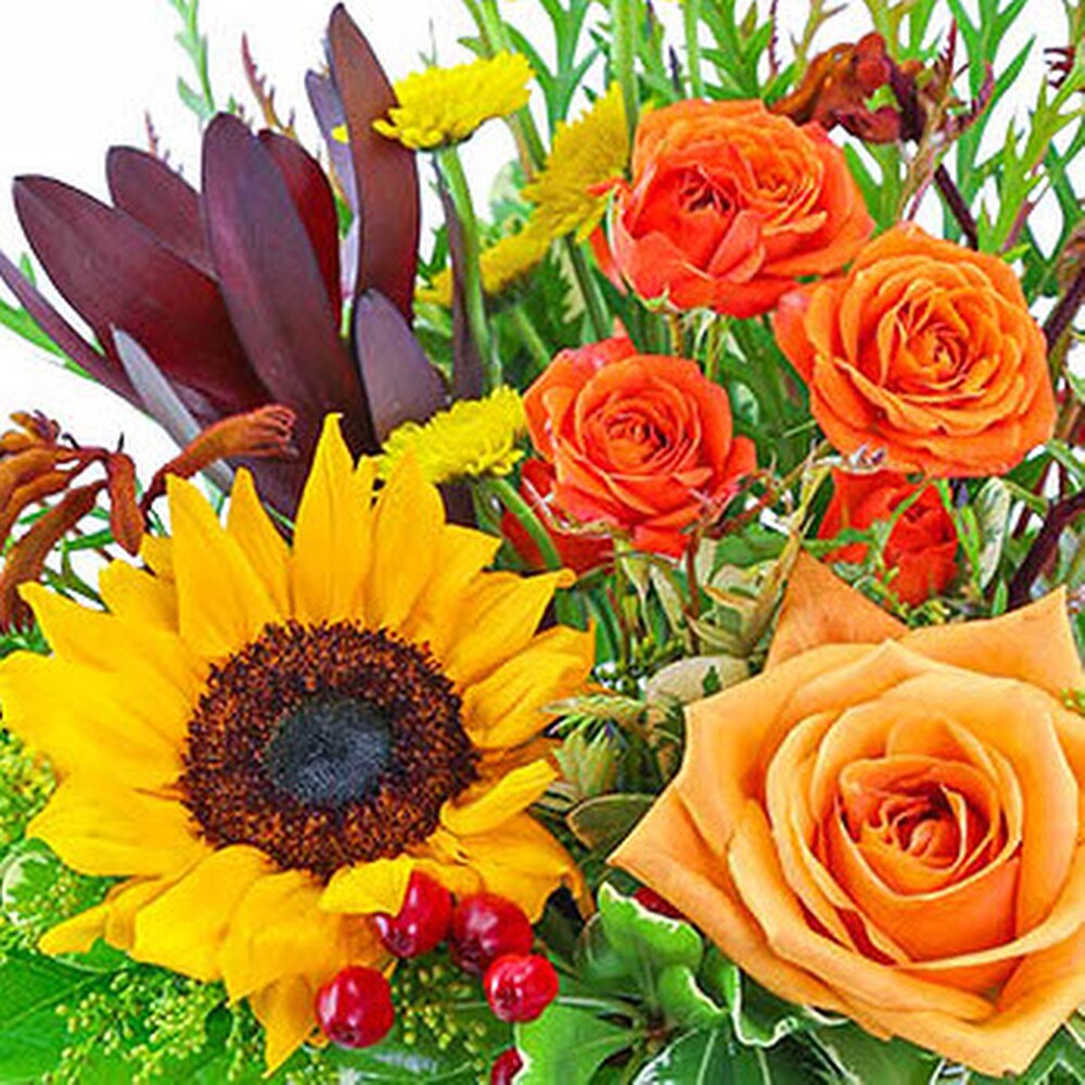 Tuscan Sun Razzle Dazzle® Flowers Mesa AZ | Flower Delivery in