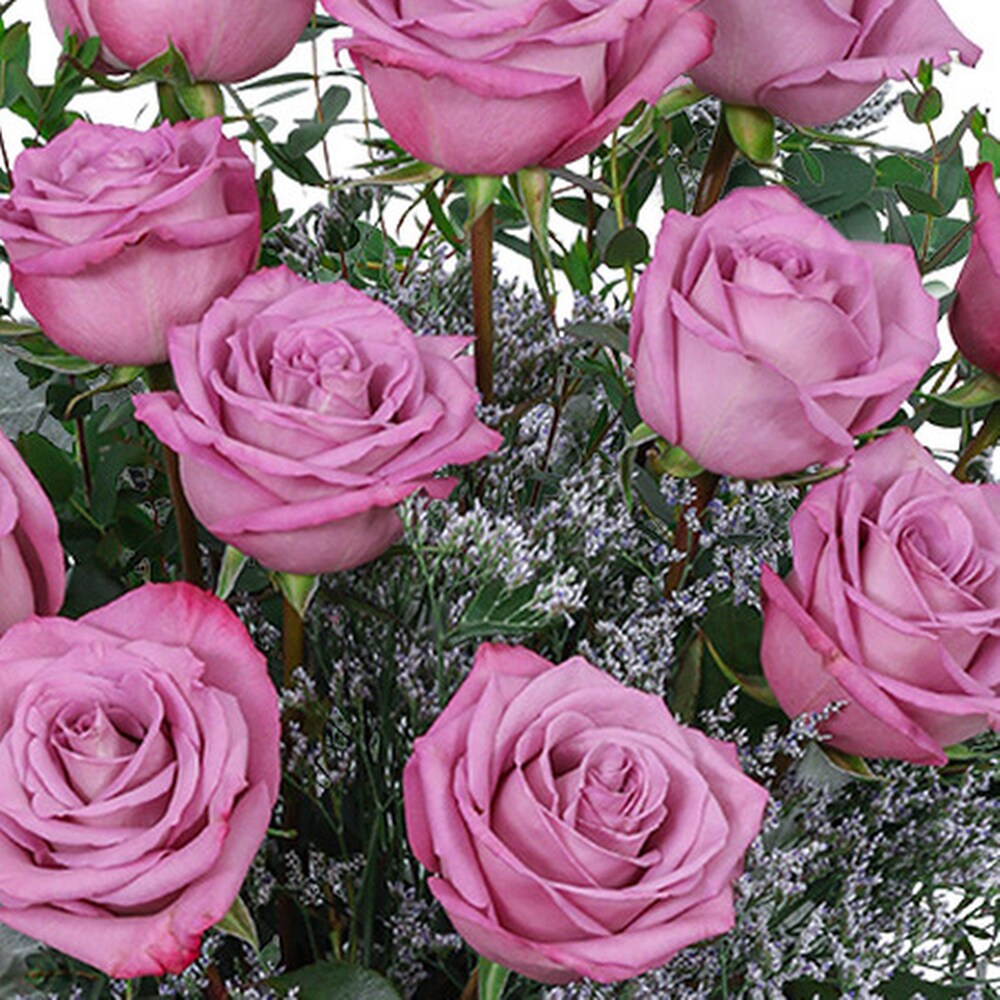 One Dozen Angelic Lavender Roses in Andalusia AL - Alan