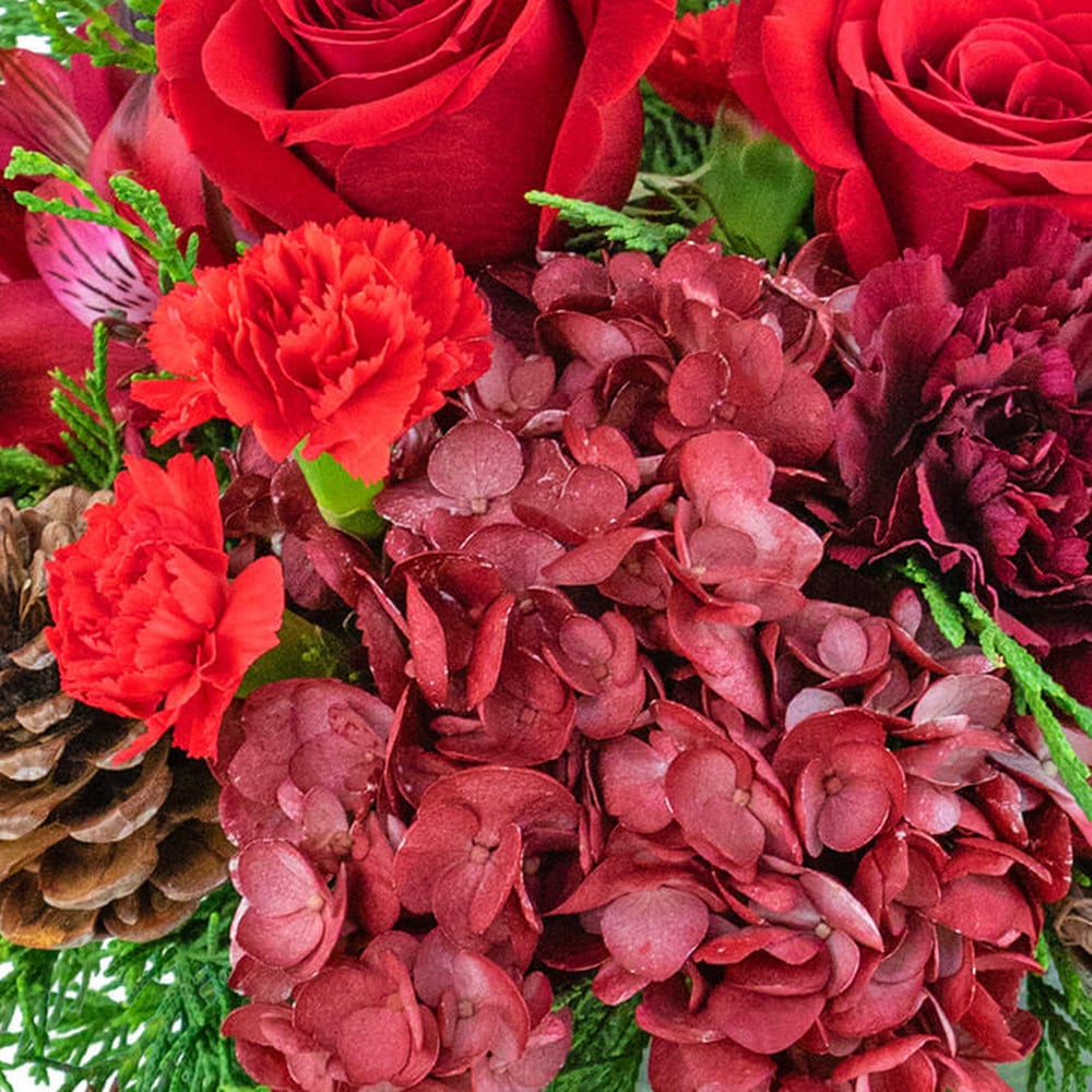Ruby Red Velvet in Mayfield Heights OH - Mayfield Floral
