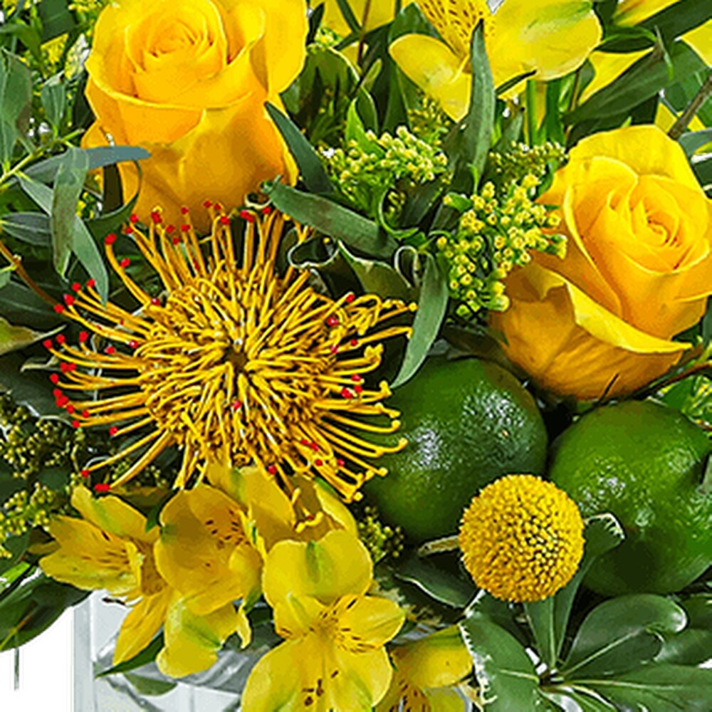 Zesty Twist in San Marcos TX - The Wild Flower Designs & Events