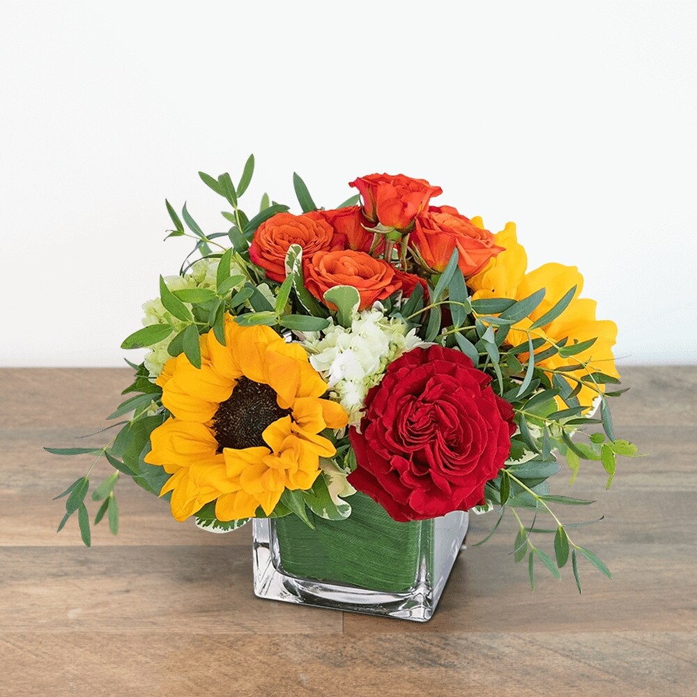 Sweet Savannah Razzle Dazzle® Flowers Mesa AZ | Flower Delivery in