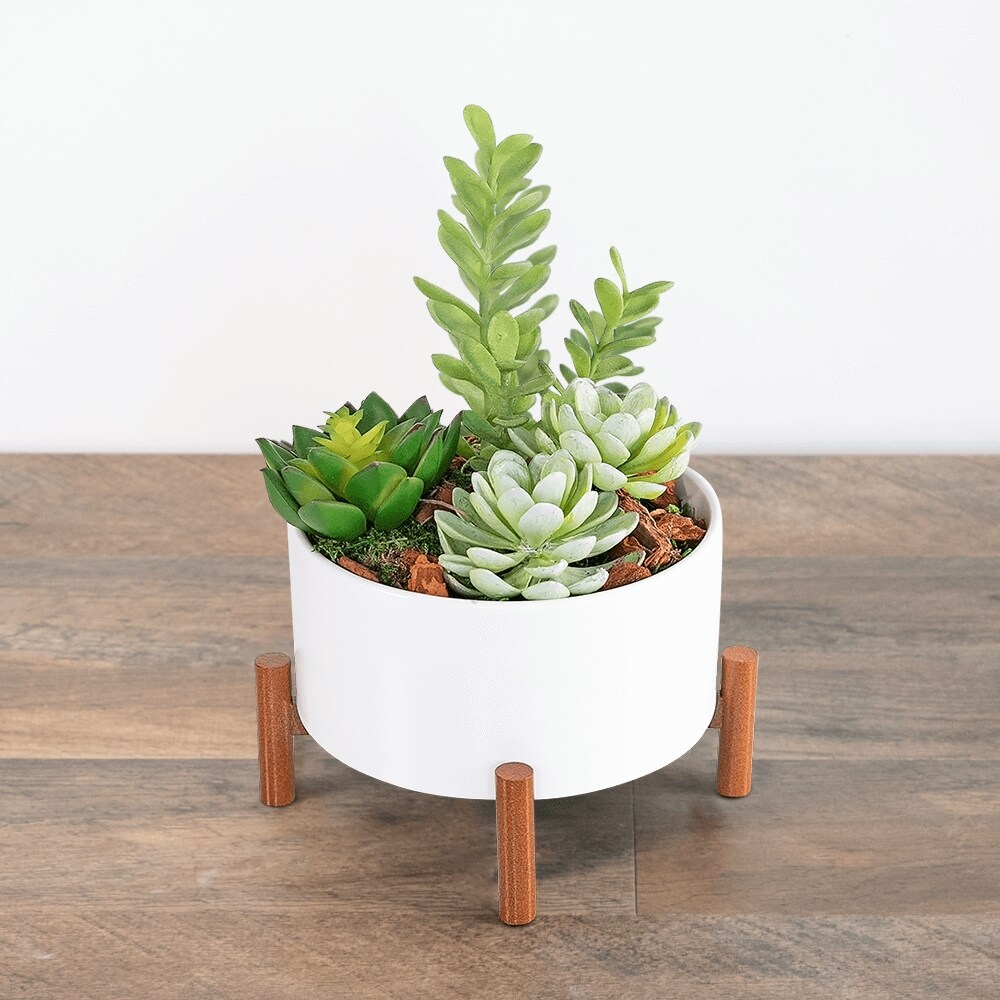 Mid-Century Boxcar Succulent Planters Mid-Century Modern Vista