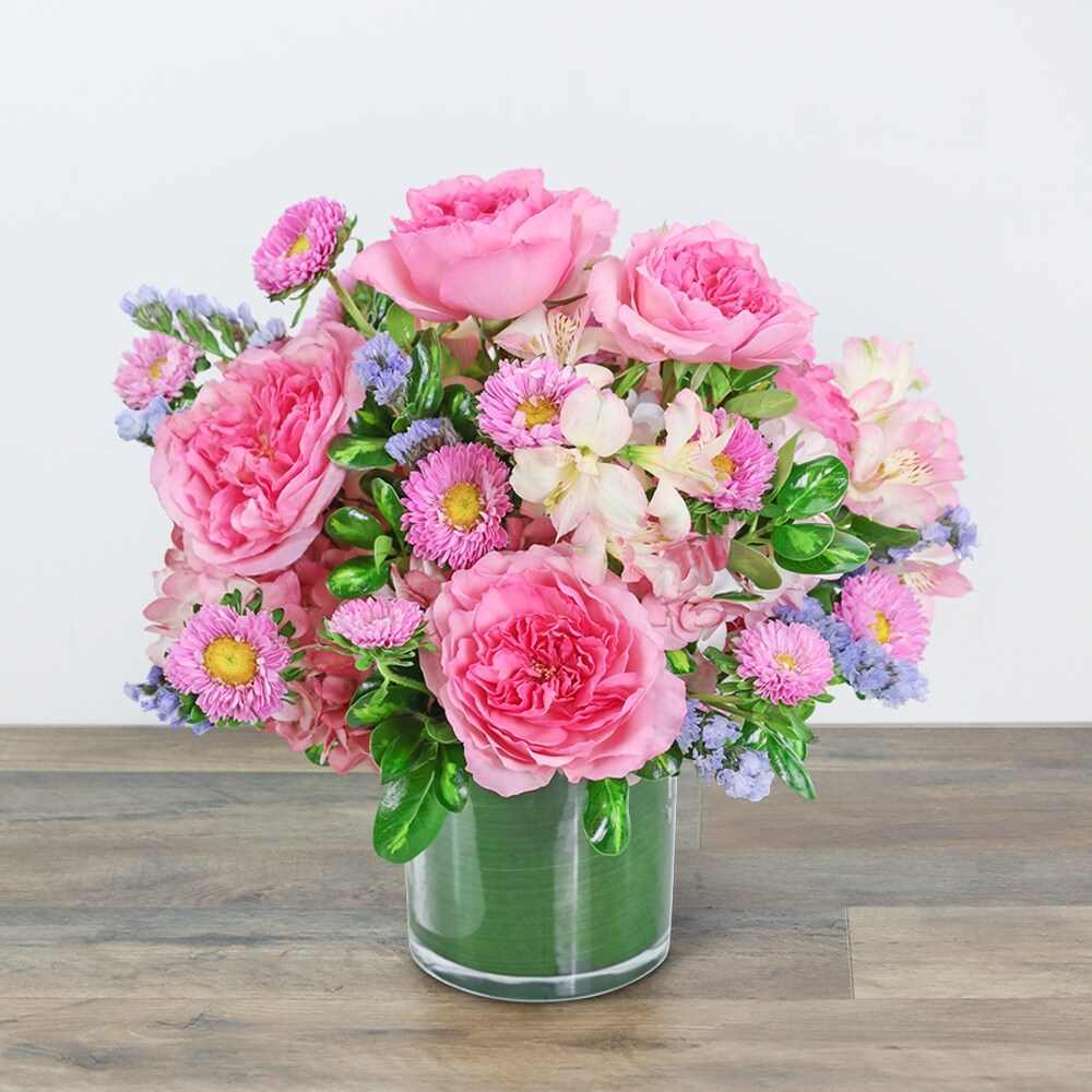 shikake 香水 paix bouquet shikake 香水 paix パクス bouquet ブーケ 草川拓弥
