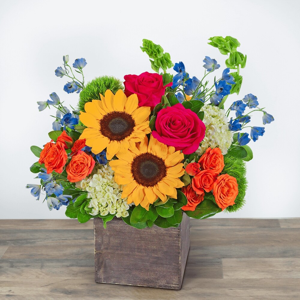 Havana Paradise Razzle Dazzle® Flowers Mesa AZ in Mesa AZ - Razzle