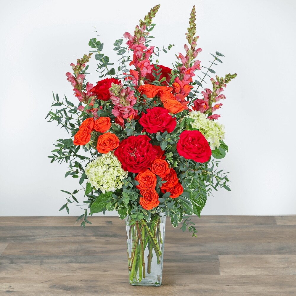 Capri Coast Razzle Dazzle® Flowers Mesa AZ 85207 | Flower Delivery