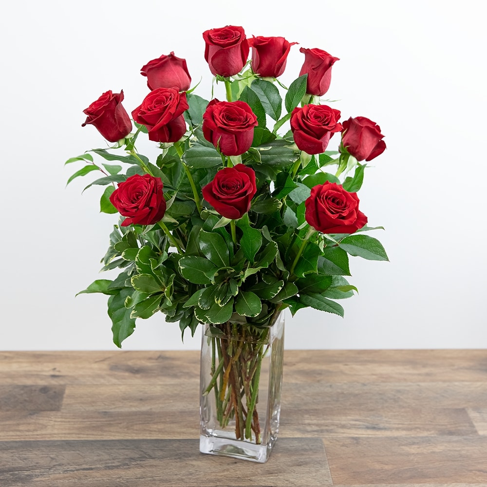 Classic Dozen Red Roses in Thorp WI - Aroma Florist