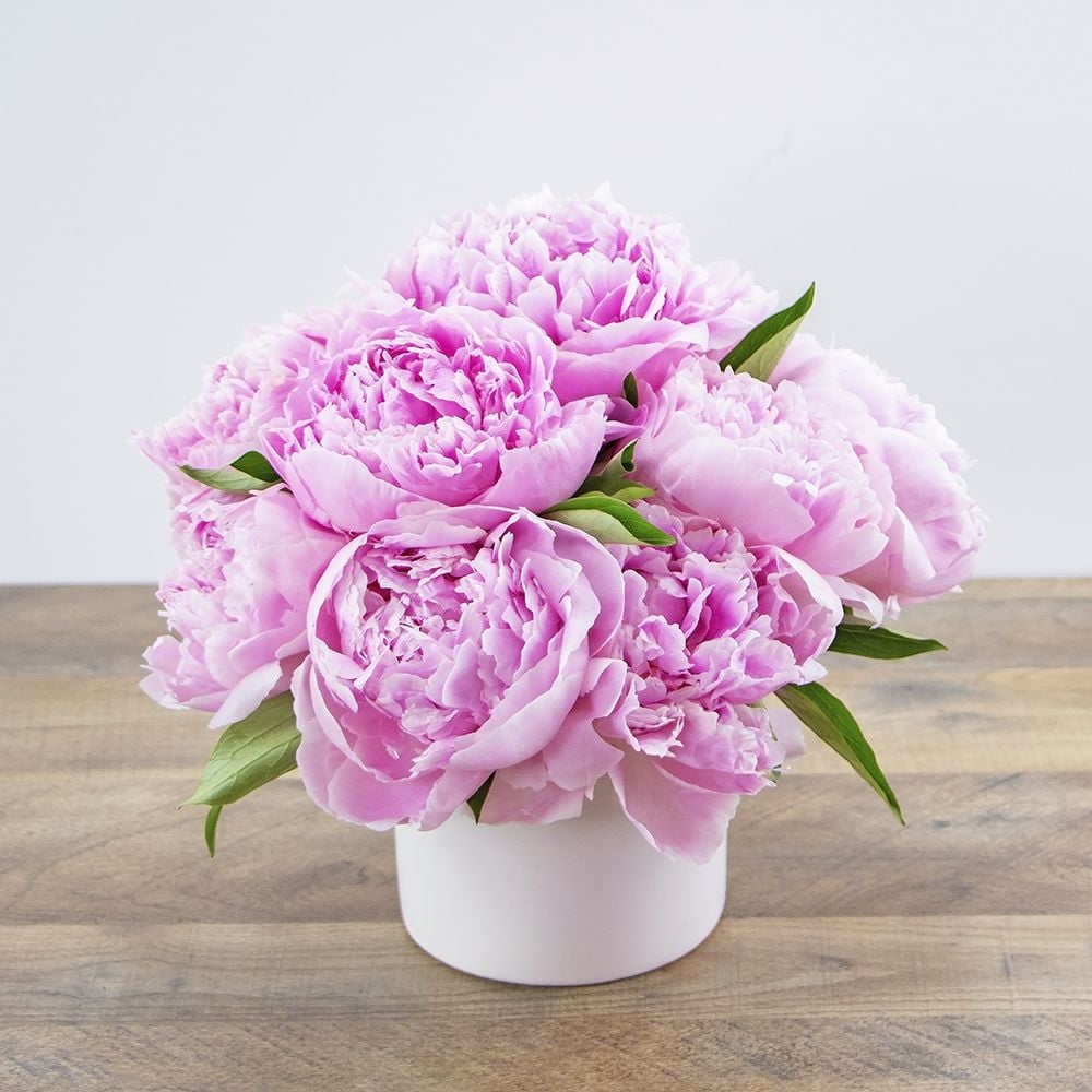 Peony Paradise in Tyler TX - Flowers by LouAnn