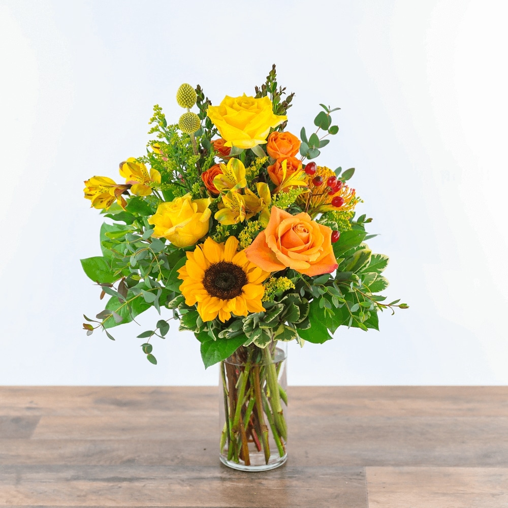 Morning Thyme Razzle Dazzle® Flowers Mesa AZ in Mesa AZ - Razzle