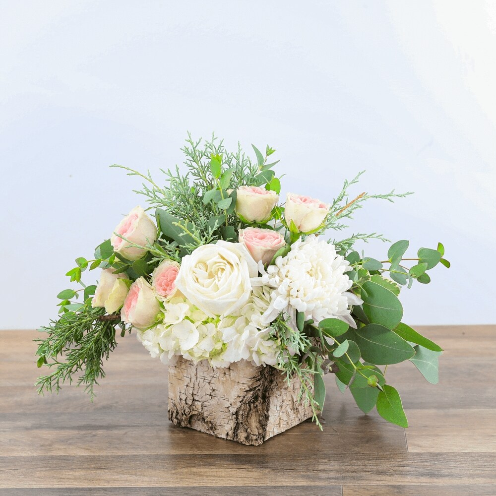 メイフラワー takahashi_yamagata | 11/7 NEWOPEN💐 @meihua.trading