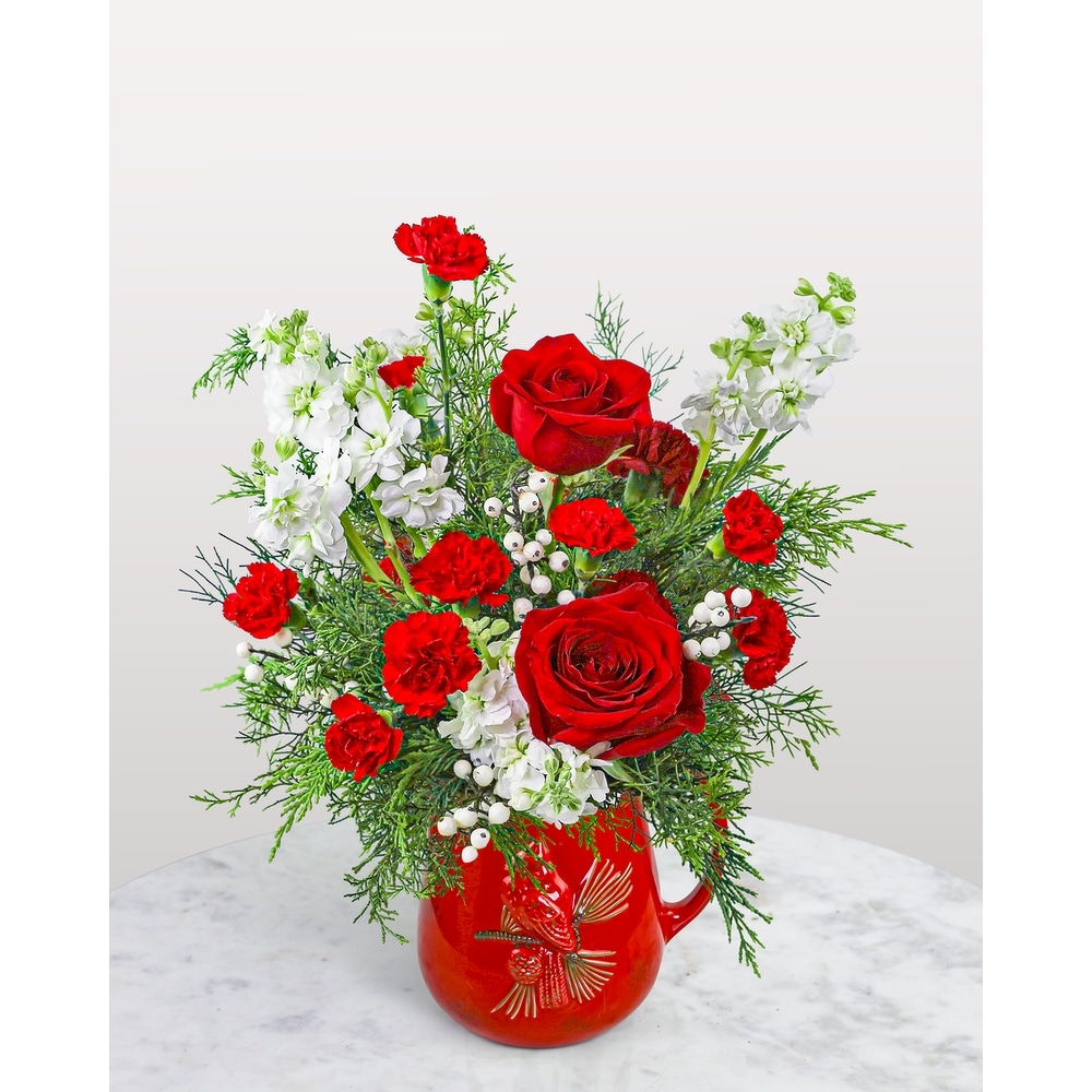 Scarlet Flight Pitcher in Dansville NY - Dogwood Floral Company