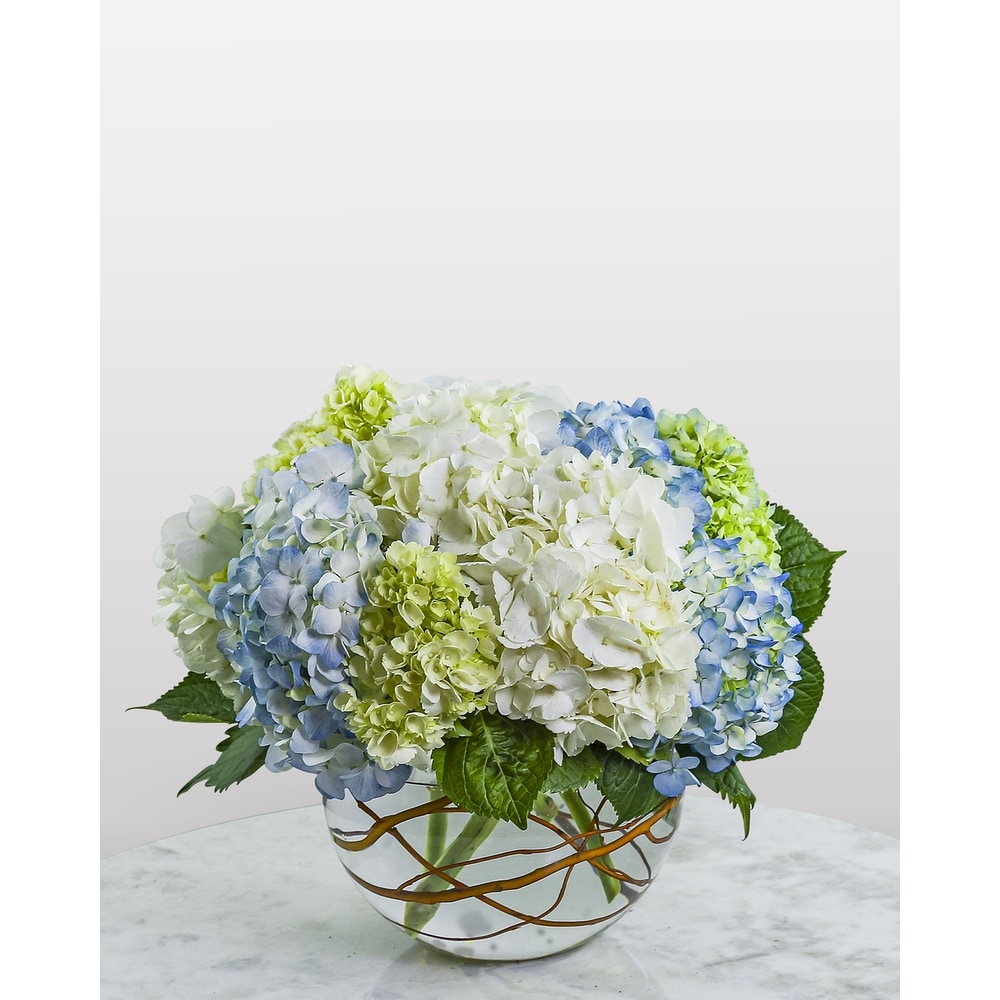 Modern Hydrangea in Portland OR - Kern Park Flower Shoppe