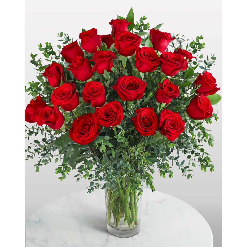 Two Dozen Red Hot Roses in Bismarck ND - Ken's Flower Shop