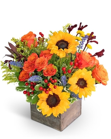 Canyon Blooms Flower Arrangement
