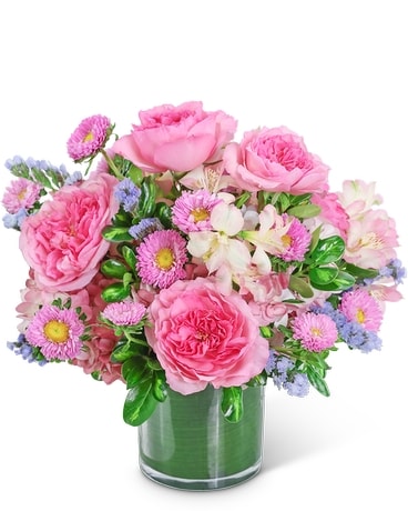 Florist Abington MA Near Me - Flower Delivery Abington